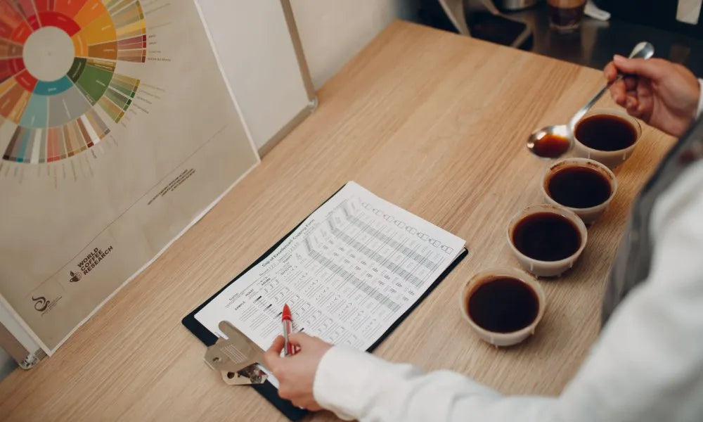 從分數到價值：SCA 2024 全新咖啡價值評估系統（CVA）如何改變我們理解咖啡的方式