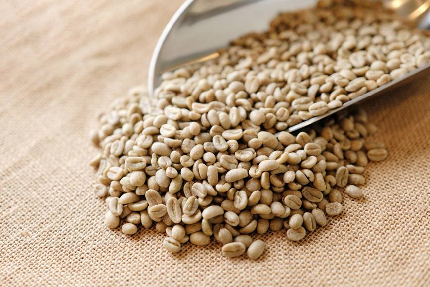 讓咖啡品味回歸直覺與生活