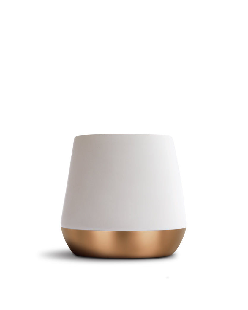 FELLOW Joey Double Wall 陶瓷杯